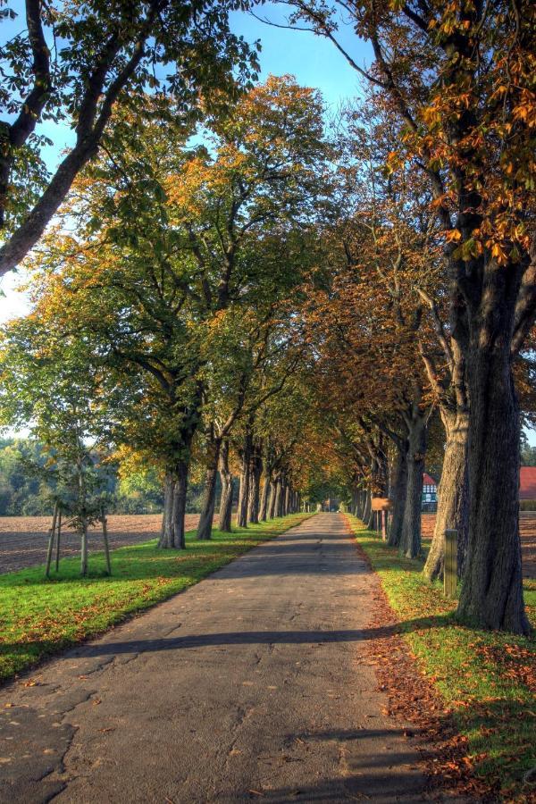 Schlosspark Hollwinkel Preußisch Oldendorf Esterno foto